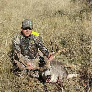 Meet your Posher, Martin